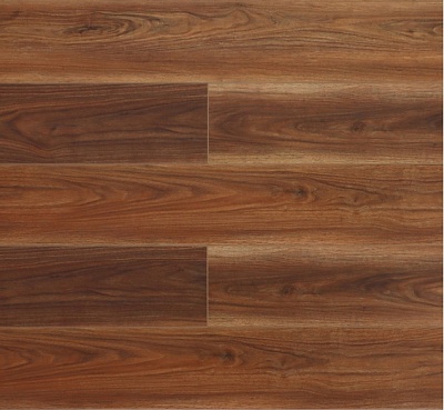 Дуб Красный