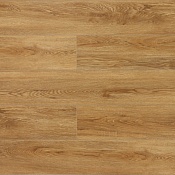 Дуб Медовый