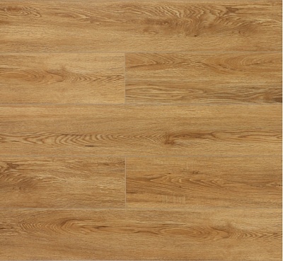 Дуб Медовый