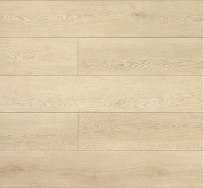 Дуб Амберный