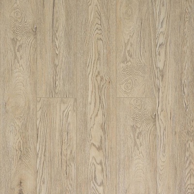 J1927 Дуб Тонтон