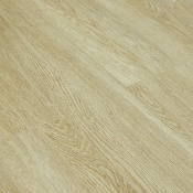 Ld1604 Дуб Шарбель