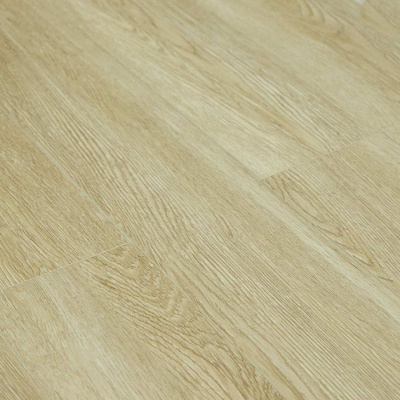 Ld1604 Дуб Шарбель