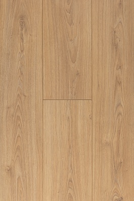 ДУБ ФРАНКСКИЙ