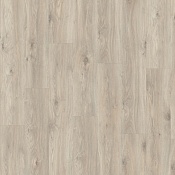 Sierra Oak