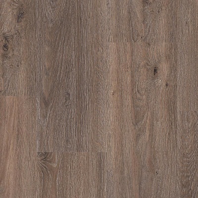  Brownie Oak