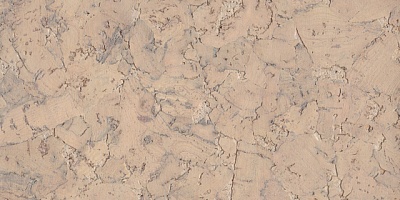 Monte Silver