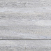 Дуб Макмастер