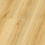 D4916 Oak Oxford (Дуб Оксфорд)
