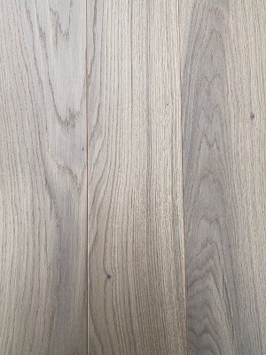 Дуб Павловский