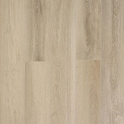 J1925 Дуб Лонгфорд