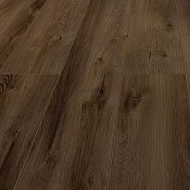  Дуб Дакота