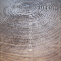 Oak chocolate - Фото 1