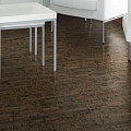 Linea Brown - Фото 1