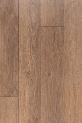 ПРОФИТРОЛЬ