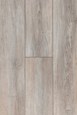     ДУБ БРИТСКИЙ