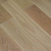 Дуб Кубанский 