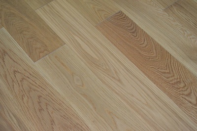 Дуб Кубанский 