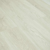 Ld1603 Дуб Бенедикт