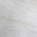 AF5002 AF5002