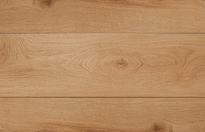 Дуб Скандик светлый