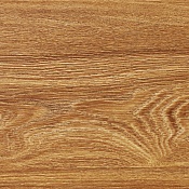 Дуб Торнтон